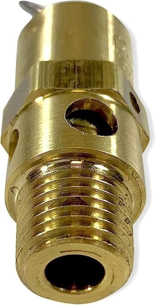 ●313 RELIEF SQUAD ○313 RELIEF SQUAD Safety Relief Valves — WNS Lowery